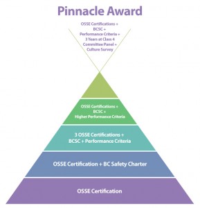 FIOSA-MIOSAPinnacle-Award-Diagram